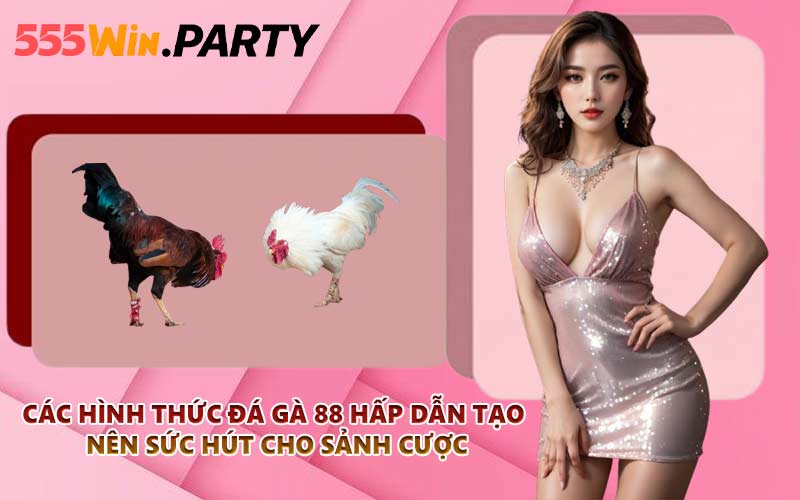 Các hình thức đá gà 88 hấp dẫn tạo nên sức hút cho sảnh cược