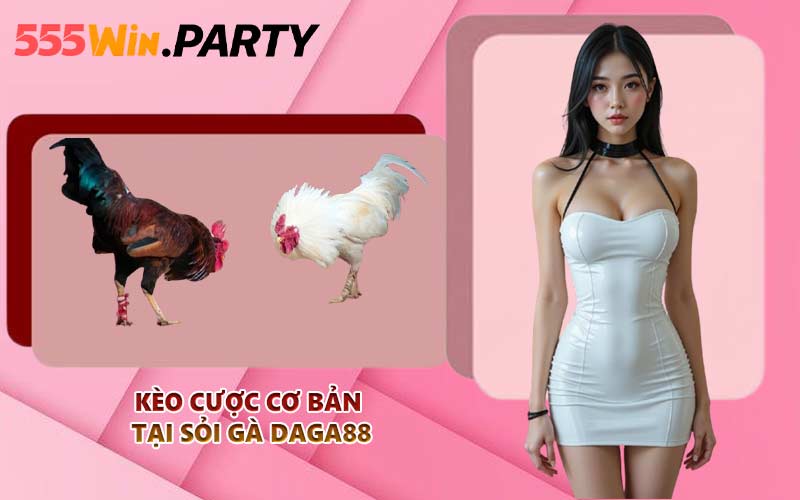 Kèo cược cơ bản tại sỏi gà Daga88