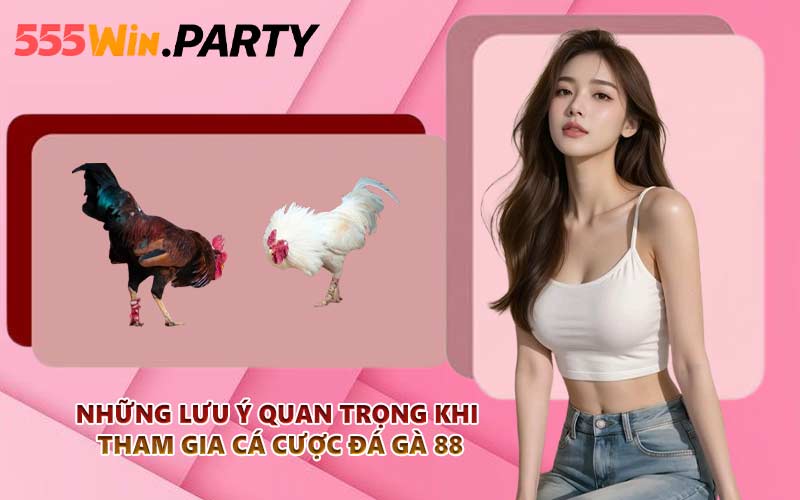 Những lưu ý quan trọng khi tham gia cá cược đá gà 88