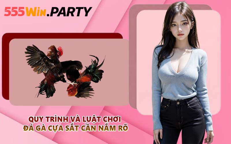 Quy trình và luật chơi đá gà cựa sắt cần nắm rõ