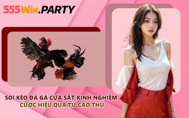 Soi kèo đá gà cựa sắt kinh nghiệm cược hiệu quả từ cao thủ