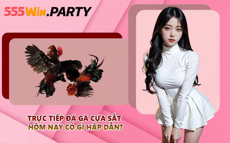 Trực tiếp đá gà cựa sắt hôm nay có gì hấp dẫn?