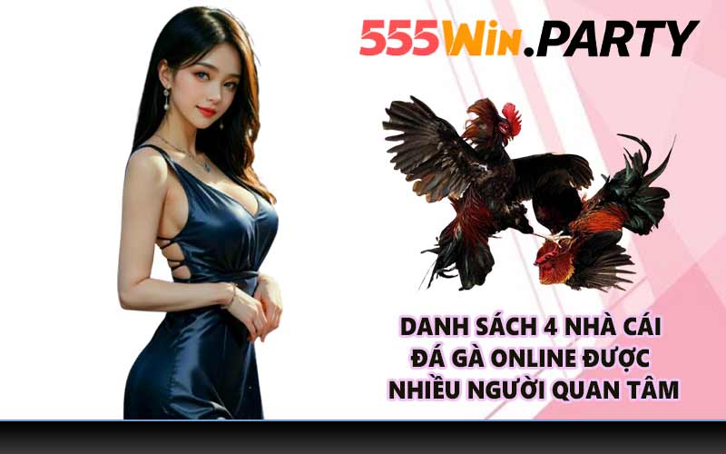 Danh sách 4 nhà cái đá gà online được nhiều người quan tâm