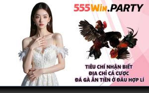 Tiêu chí nhận biết địa chỉ cá cược đá gà ăn tiền ở đâu hợp lí