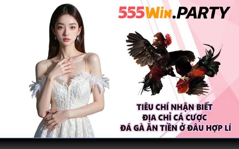 Tiêu chí nhận biết địa chỉ cá cược đá gà ăn tiền ở đâu hợp lí
